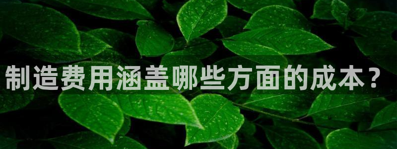 彩神vii官网：制造费用涵盖哪些方面的成本？