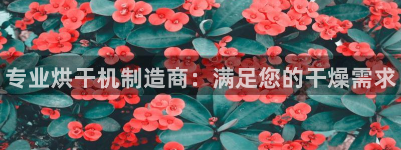 新版彩神v8登录：专业烘干机制造商：满足您的干燥需求